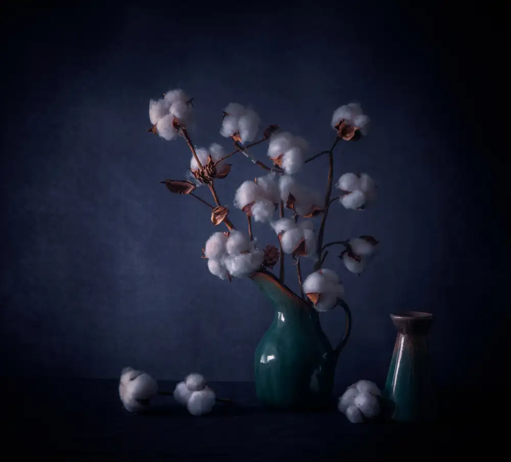 May, G.: Baumwollblumen