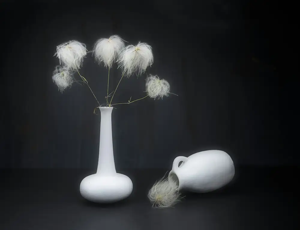 Uranga, Pedro: White on black.