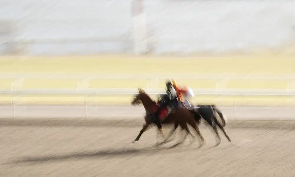 Zhao, Emma: Course de chevaux