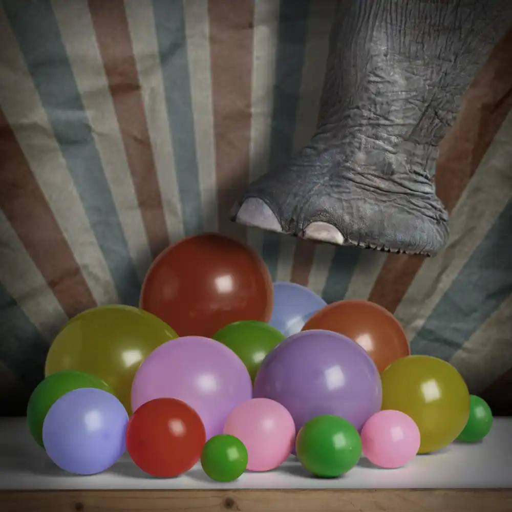 Solo, Mister: Still life 03
