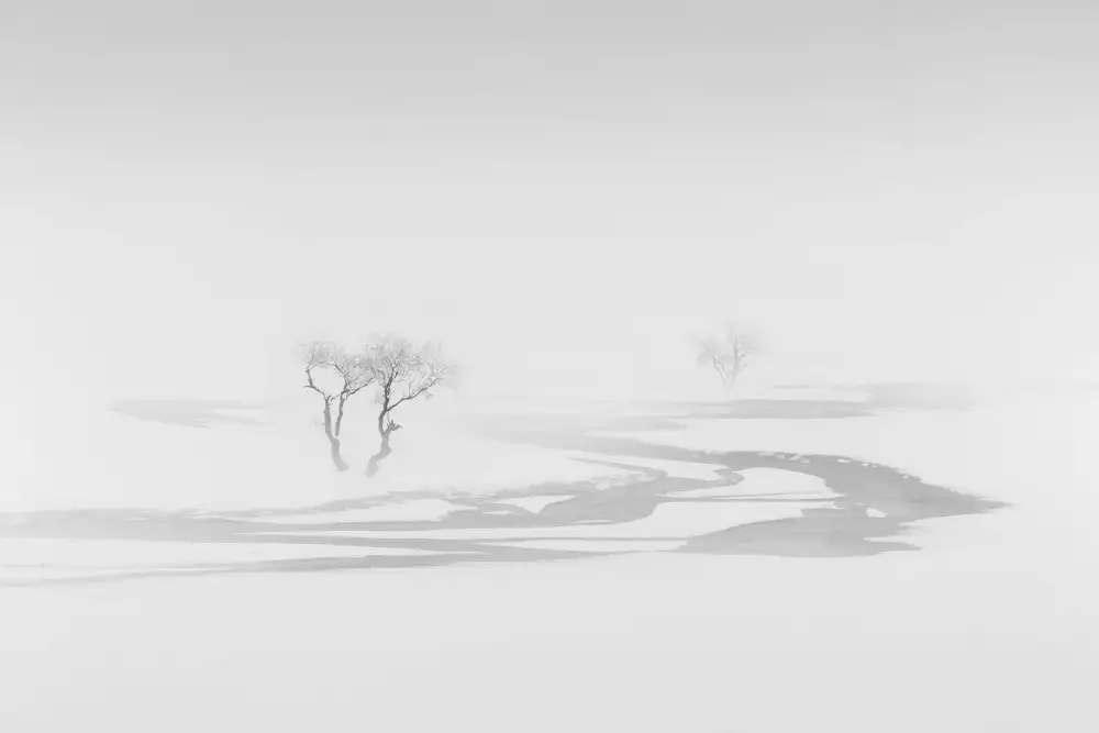 Nodeh, Mostafa: Sogno