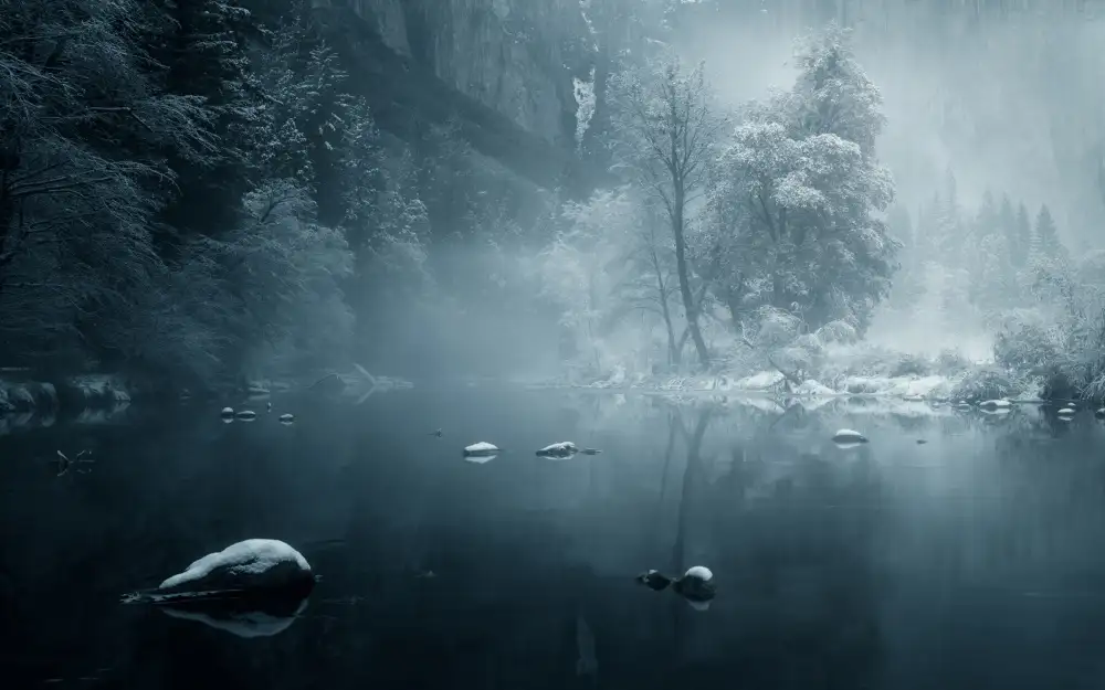 Zhang, Joan: Winter wonderland