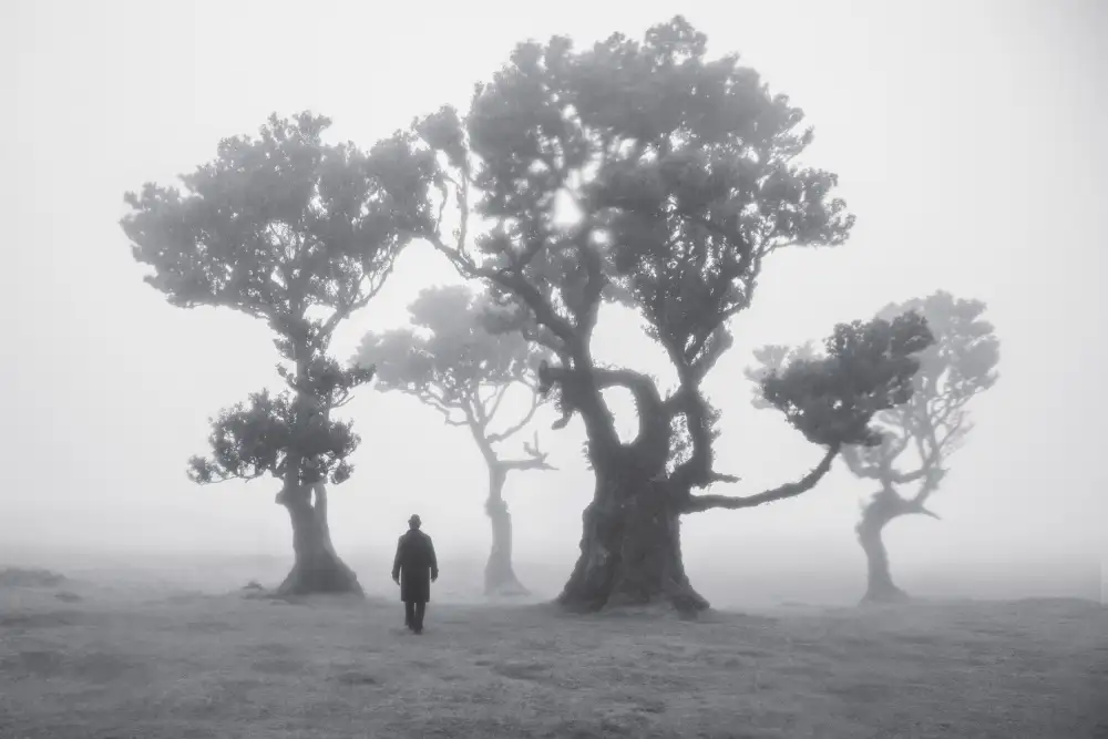 Hoog, de Roelof: Another world
