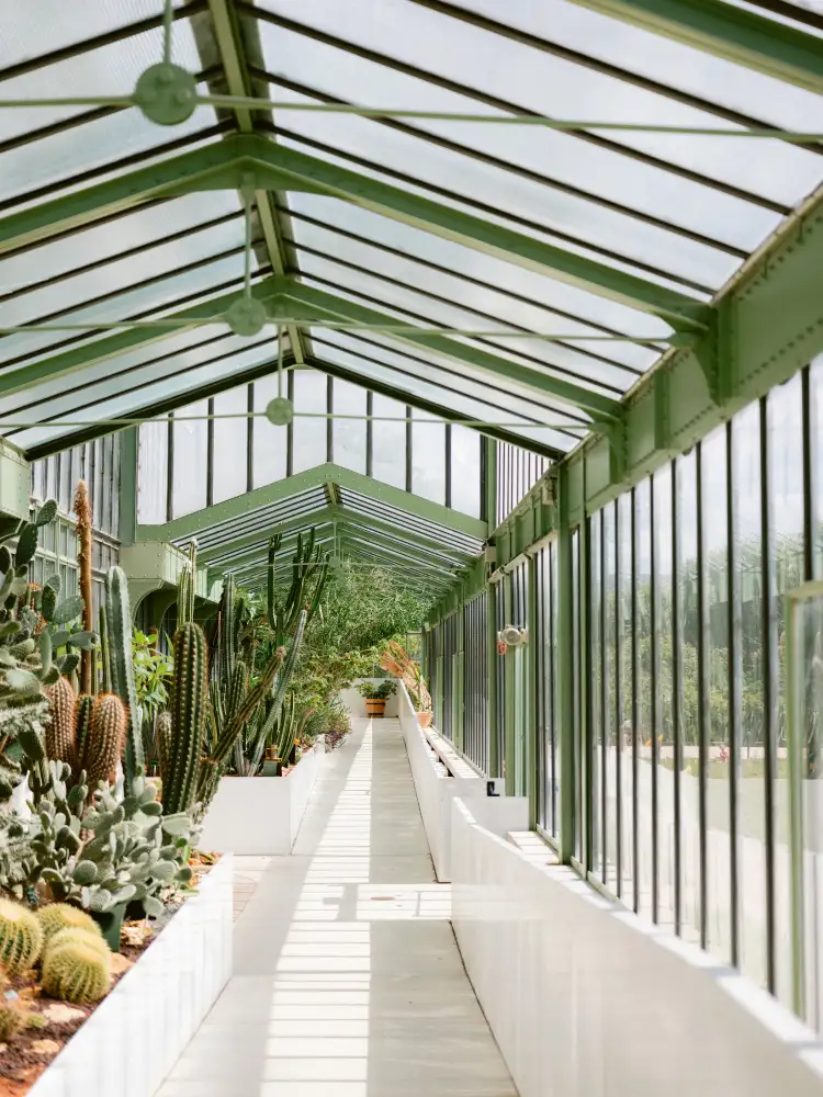 Zwart, Raisa: Giardino botanico di Parigi