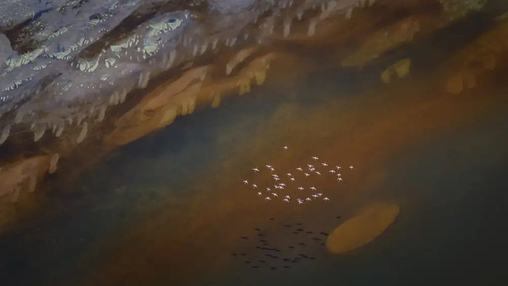 Xu, Sheila: Flying Over the Magic Lake