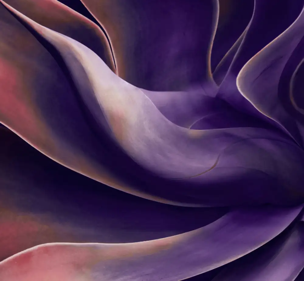 Wechsler, Robin: Agave dans les tons violets
