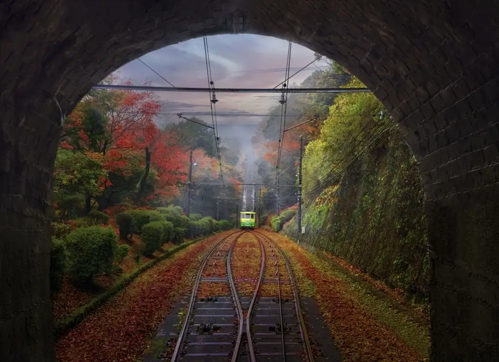 Tang, D. Lisa: The Train, Japan