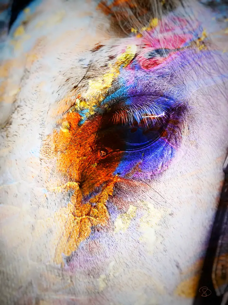 Day, Ruth: Painted Horse