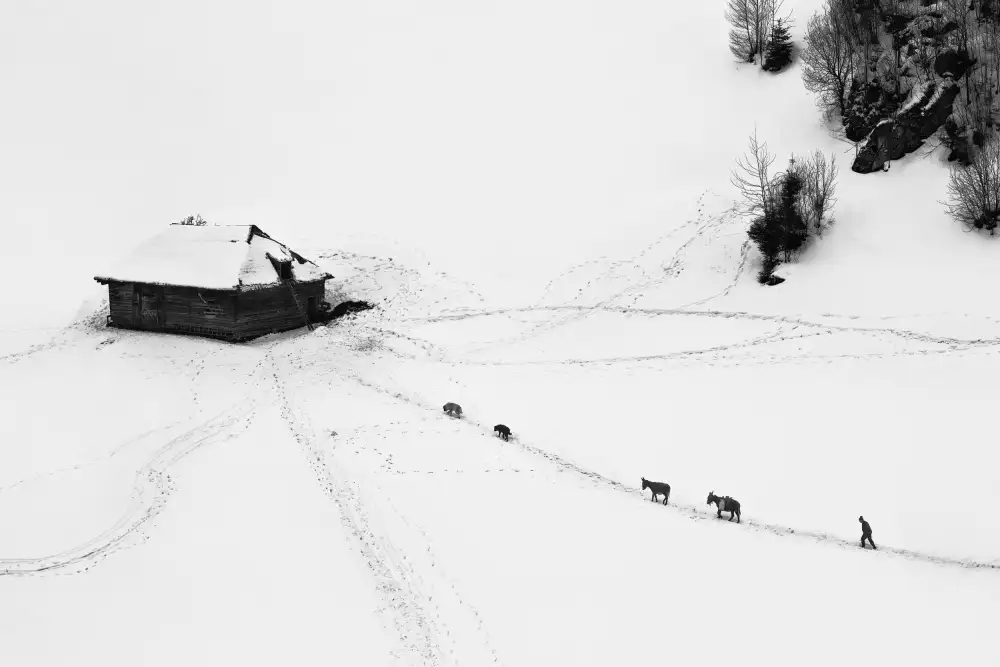 Prioteasa, Sebastian: Mountain Rituals