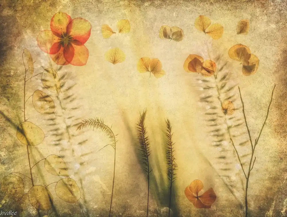 Lee, van Hilda: INTIME LANDSCHAFT