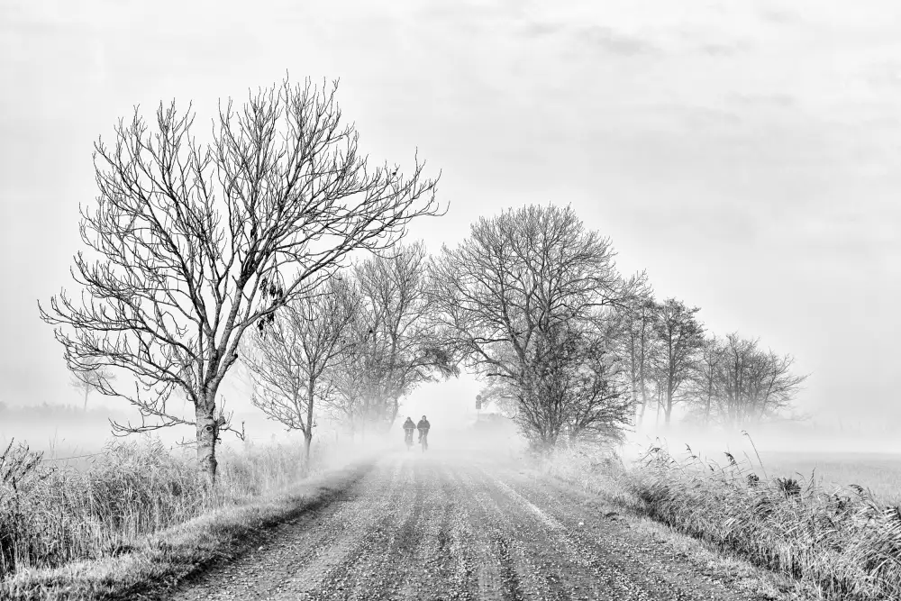 Klesse, Andreas: Matin brumeux