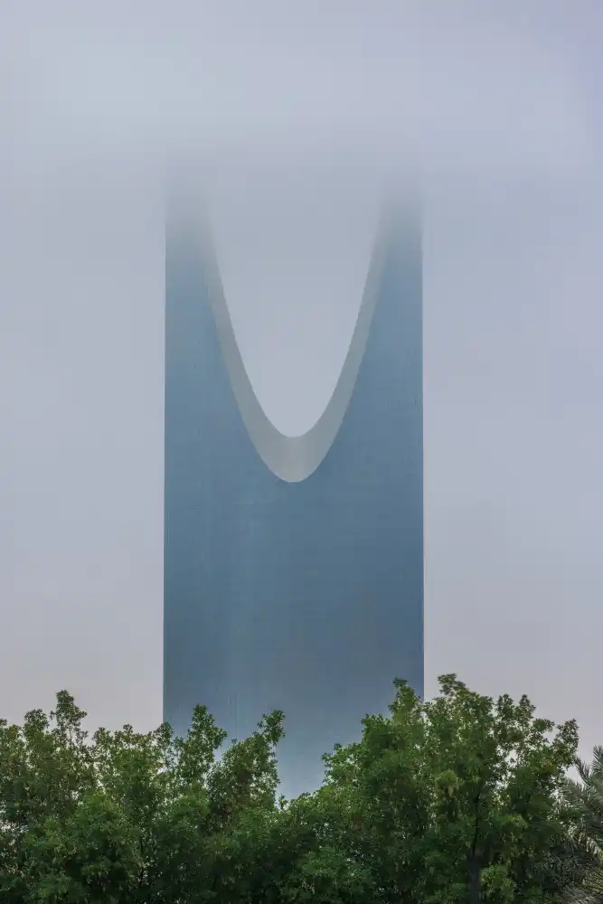 Alhamed, Moath: Fog embrace