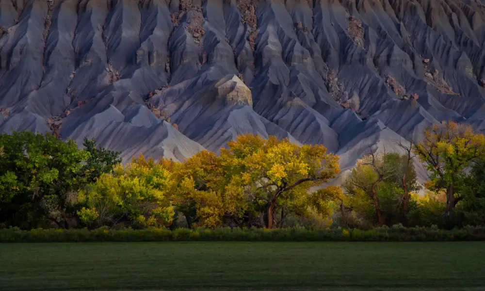 Zhang, Dennis: L'oro autunnale a Badlands