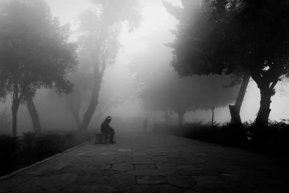 Banerjee, Nilendu: Der Nebel