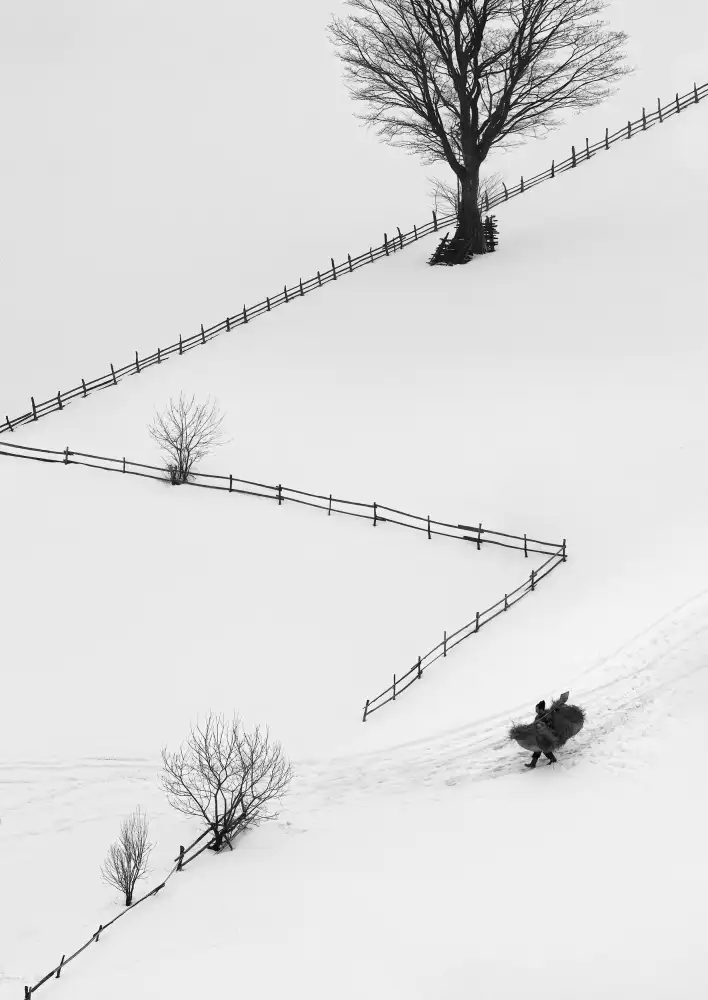 Prioteasa, Sebastian: Mountain Rituals