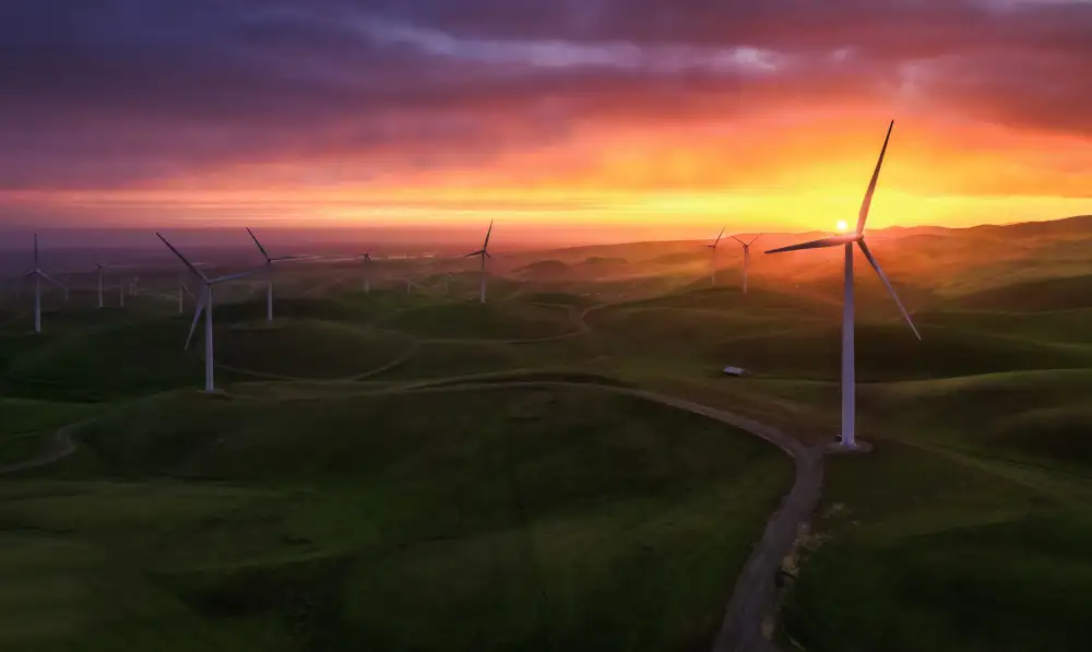 Qiu, Jenny: Sonnenaufgang auf der Windmills Farm(3)