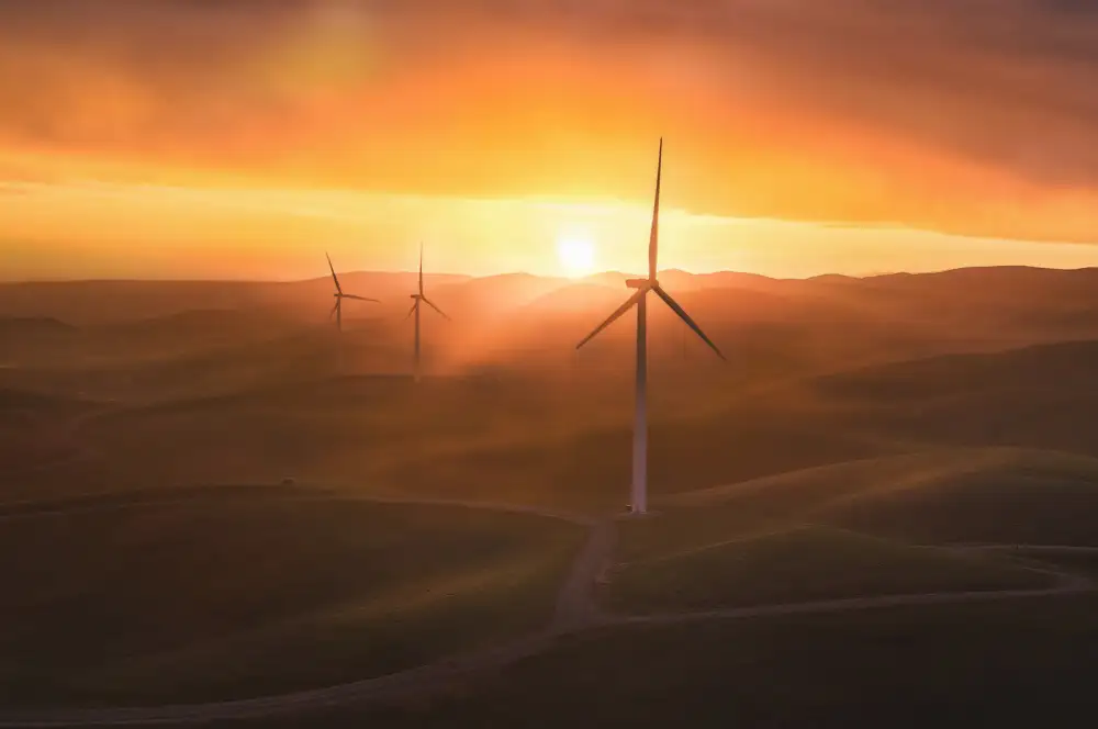 Qiu, Jenny: Sonnenaufgang auf der Windmills Farm(4)