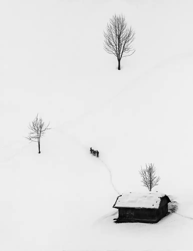 Prioteasa, Sebastian: Winter Days