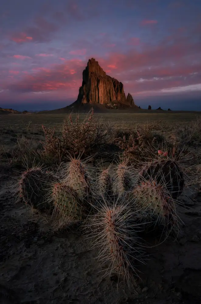 Jacobs, Lydia: Alba a Shiprock