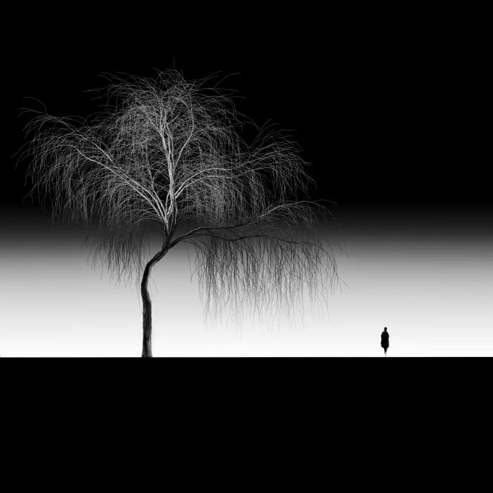 Bogdan, Marchevca: In Solitude