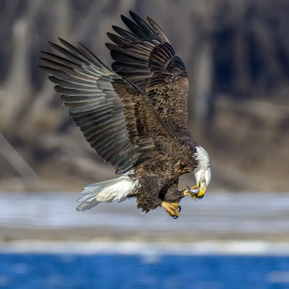 Xu, Jian: Transfer in der Luft