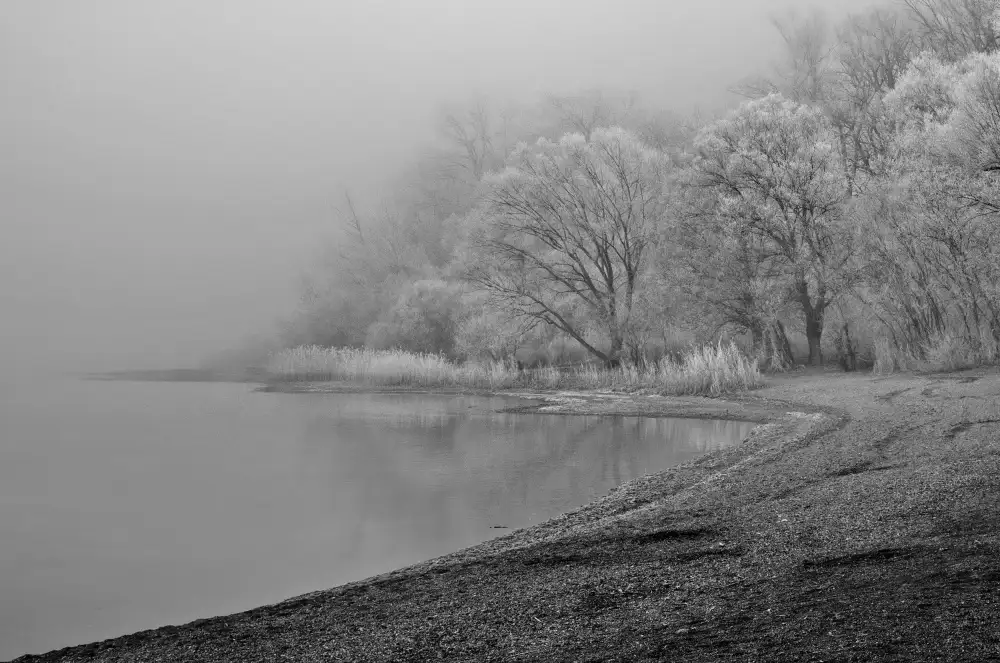 Rank, Peter Hans: hoarfrost and fog