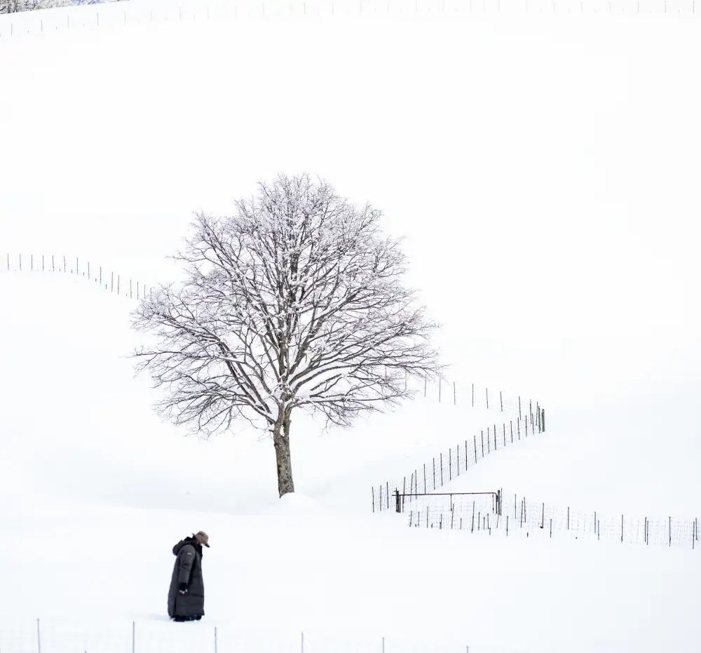 geun, hyeong Choi: invierno