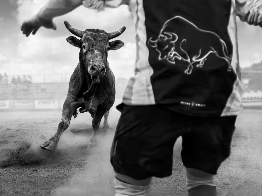 Zhou, Steven: Il toro furioso