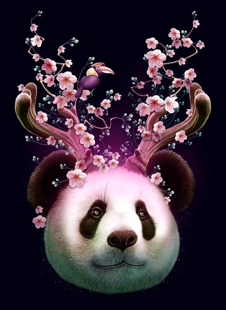 Lawless, Adam: panda rohy nahoru