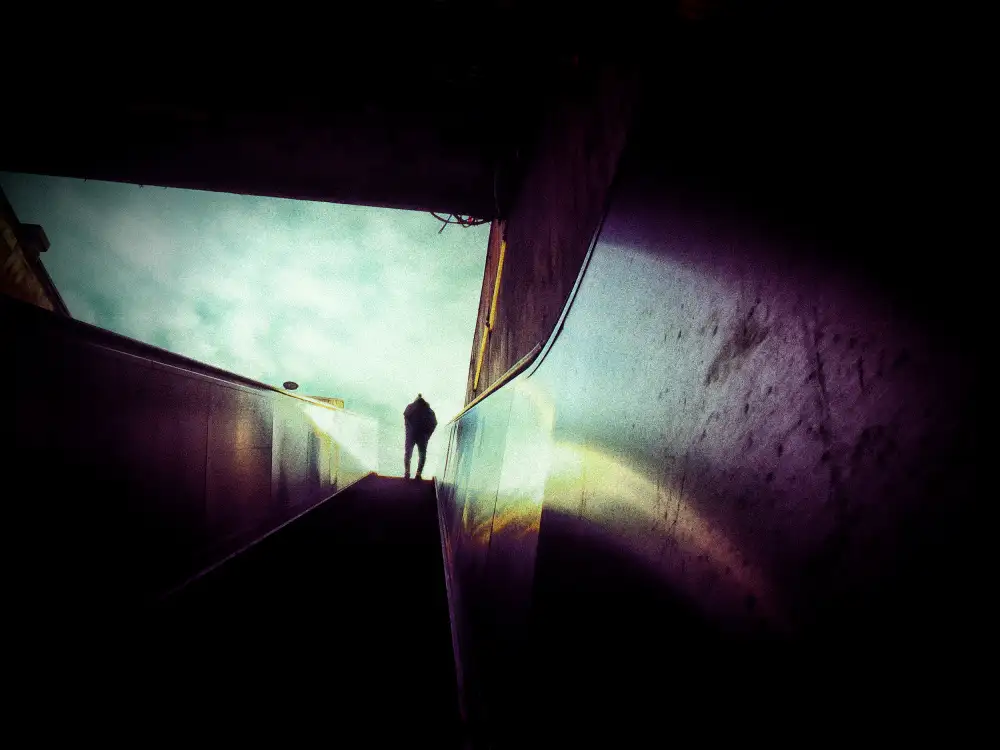 Momanu, Mirela: Stairways To Sky