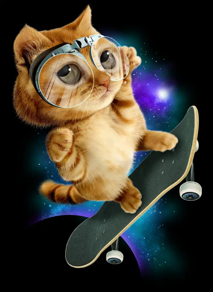 Lawless, Adam: gatto sullo skateboard