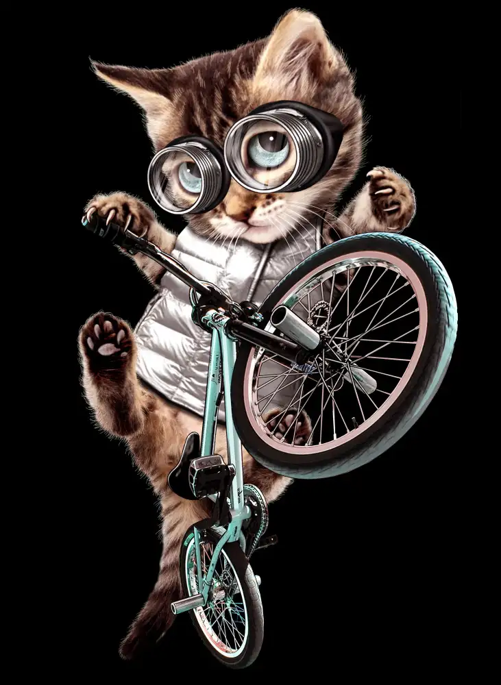Lawless, Adam: bmx kočka
