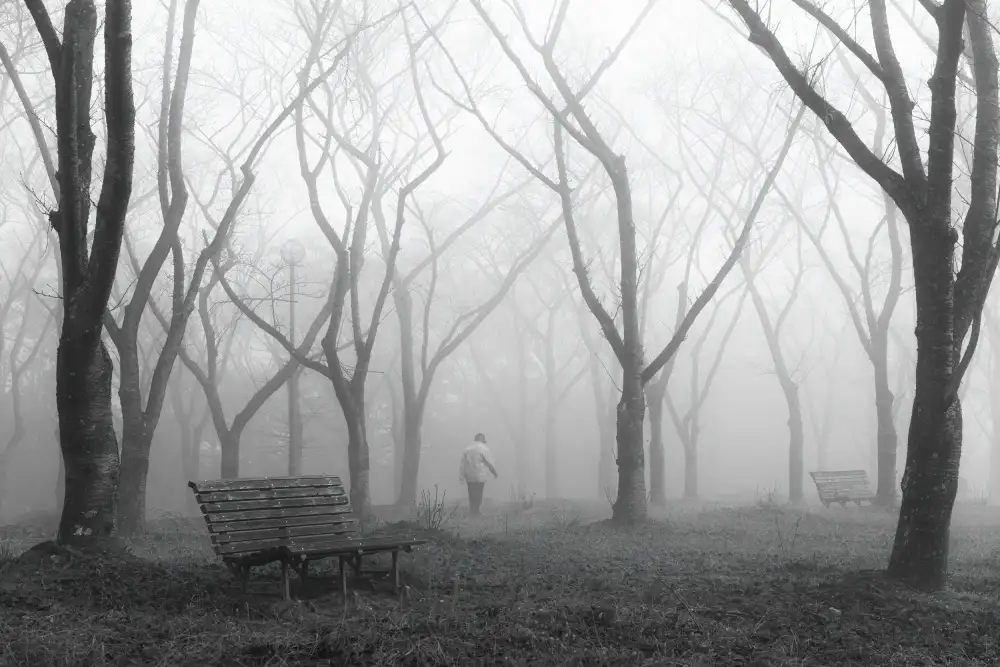 quan, van Vu: Morning walker