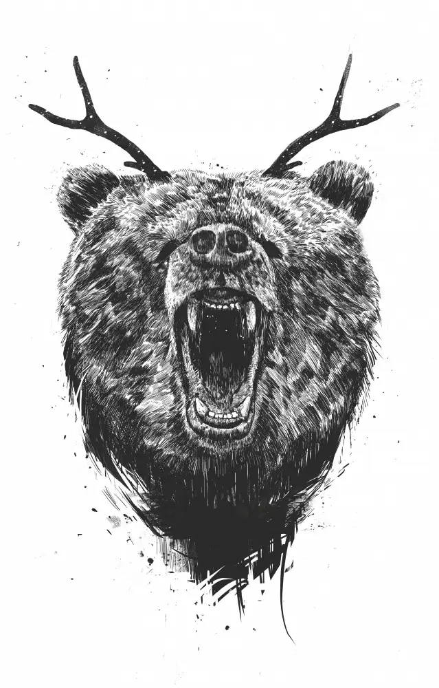 Solti, Balazs: Angry bear with antlers