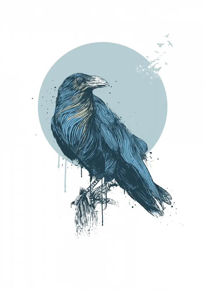 Solti, Balazs: Blue crow
