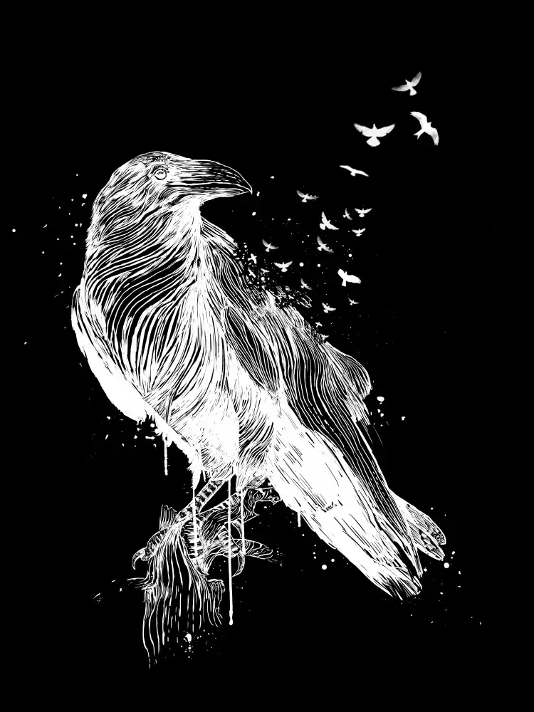 Solti, Balazs: Born to be free (dark)