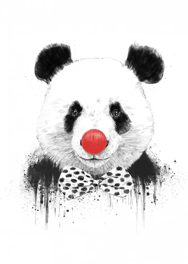 Solti, Balazs: Clown panda