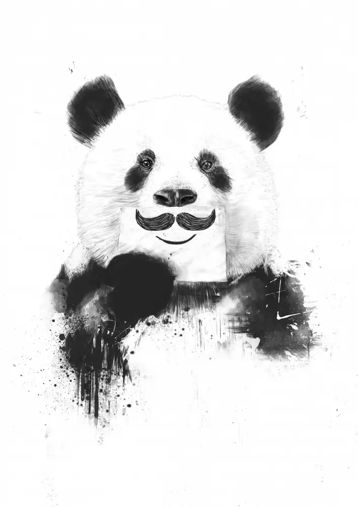Solti, Balazs: Funny panda