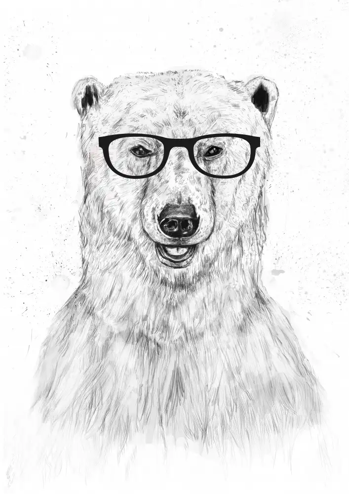Solti, Balazs: Geek bear