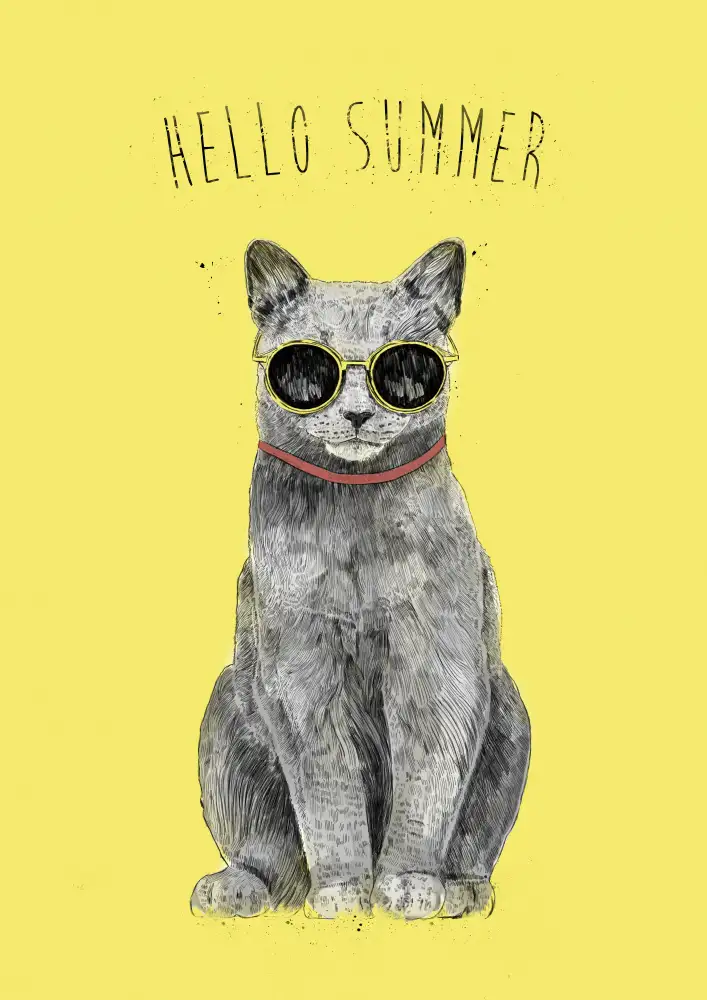 Solti, Balazs: Hello Summer