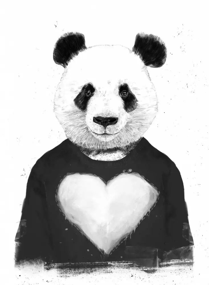 Solti, Balazs: Lovely Panda