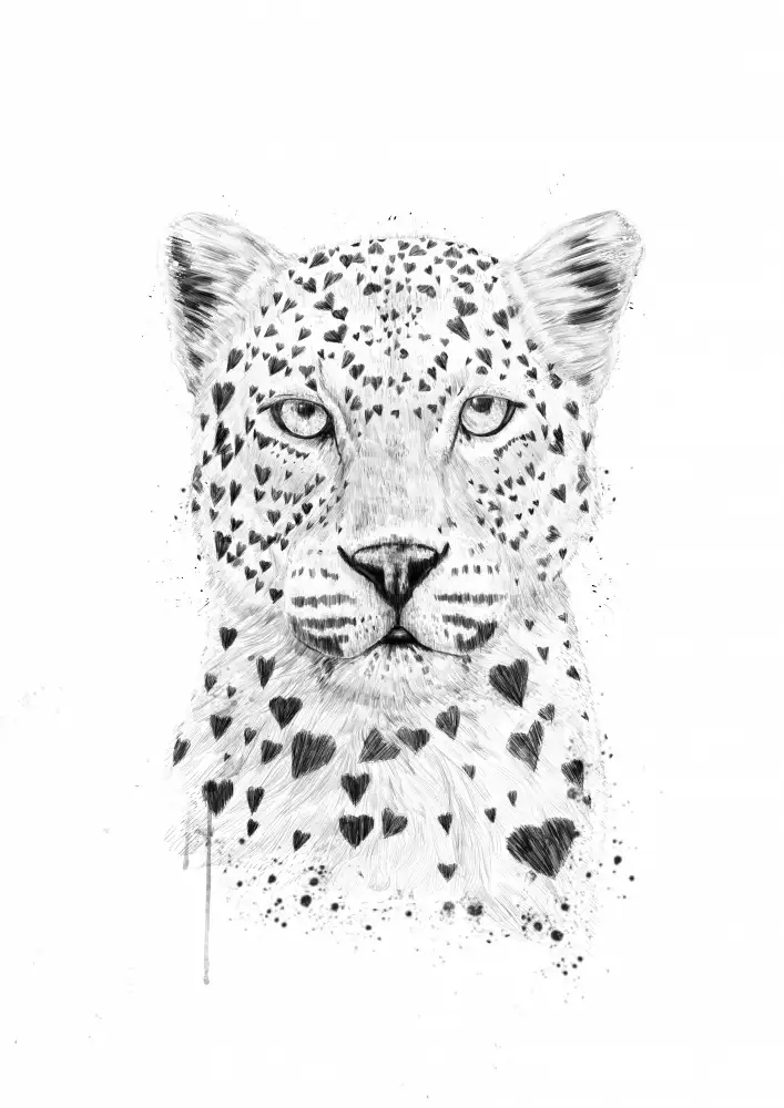 Solti, Balazs: Lovely leopard
