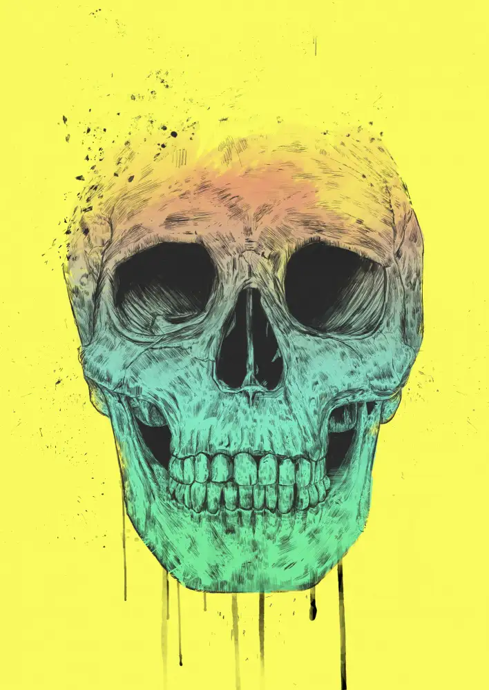 Solti, Balazs: Pop Art Skull