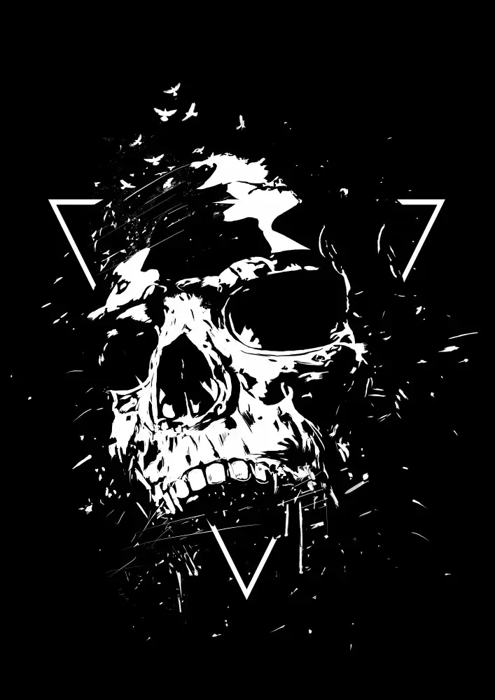 Solti, Balazs: Skull X (bw)