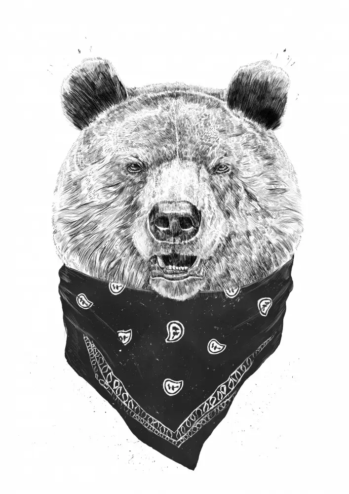 Solti, Balazs: Wild bear