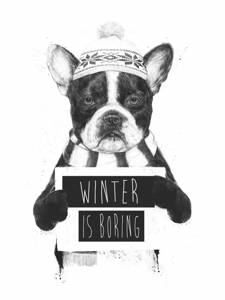 Solti, Balazs: Winter is boring