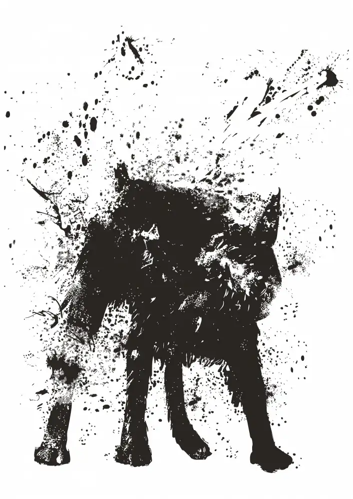 Solti, Balazs: Wet dog