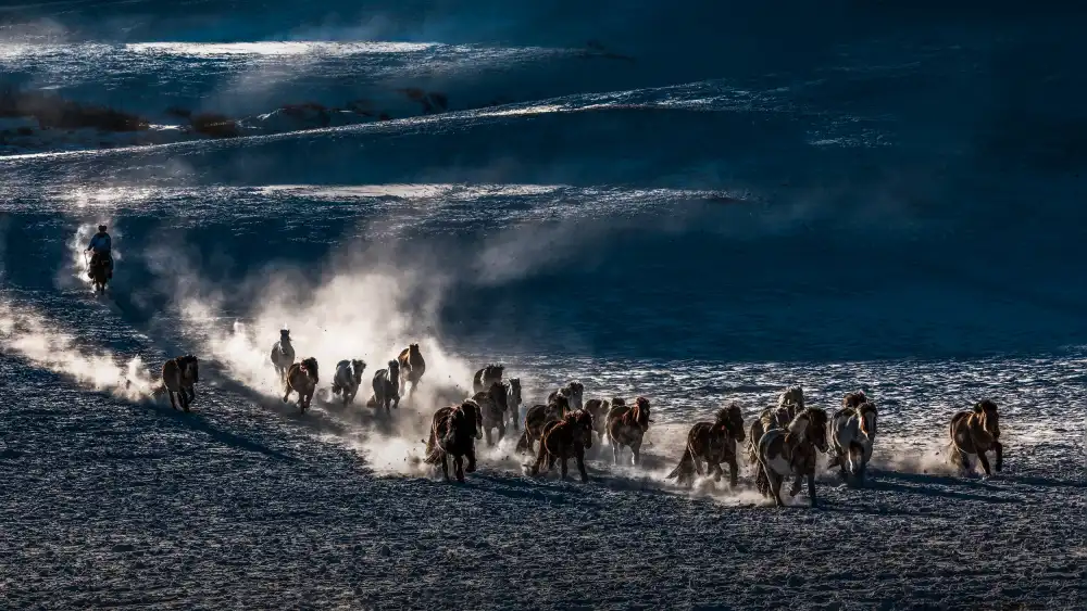 Wu, Irene: Caballos al galope