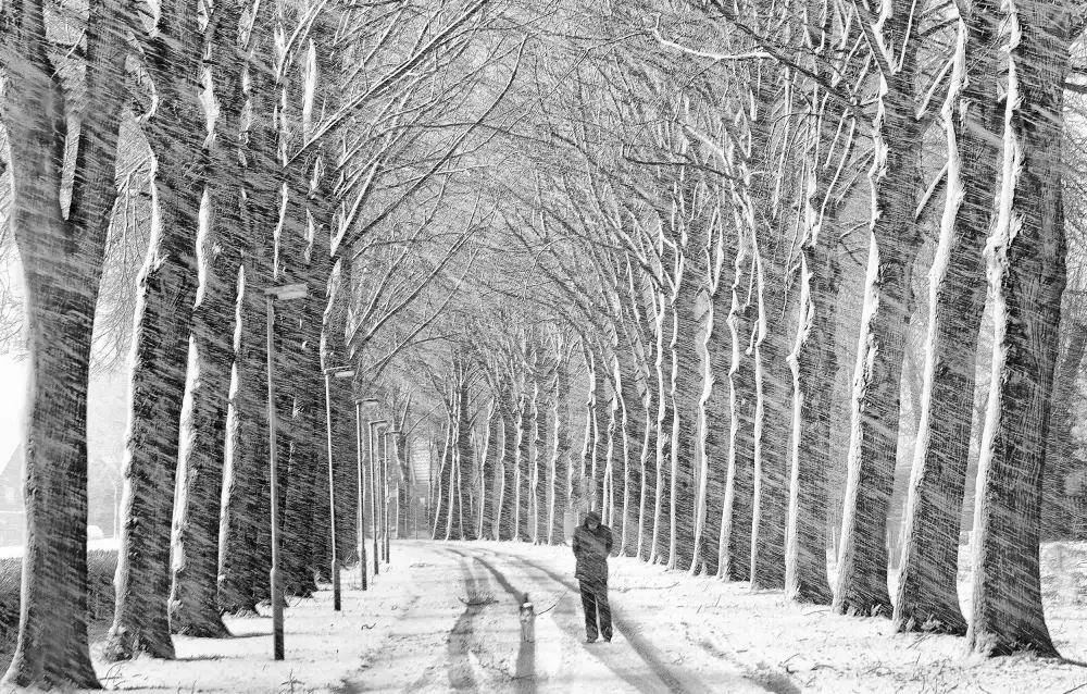 Urlings, Lou: Caminata por la nieve