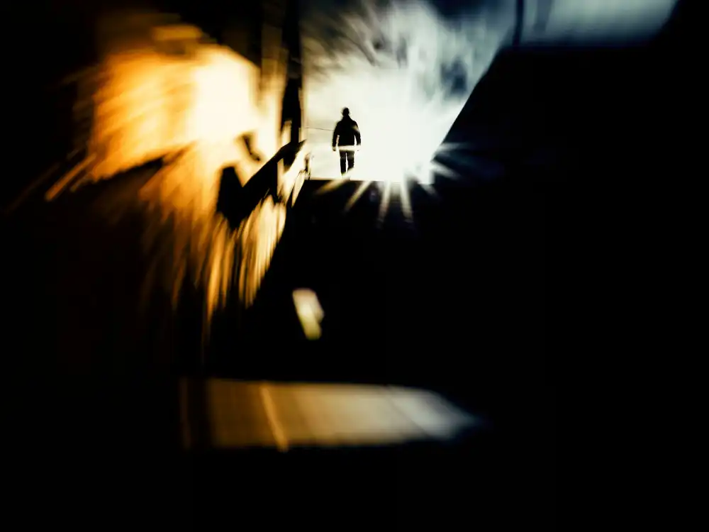 Momanu, Mirela: Man on The Moon
